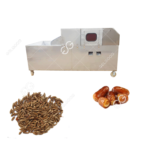 dates palm pitting machine