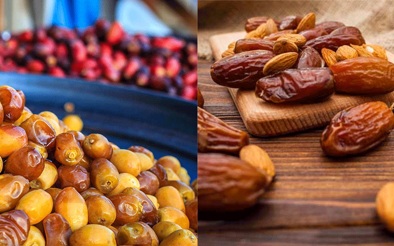 fresh dates vs dried dates