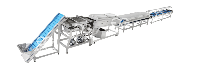 Dates Washing Drying Grading Production Line 1-5T/H